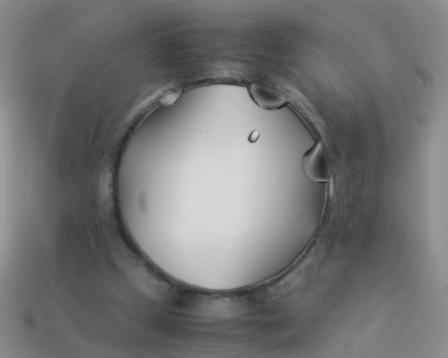 X0000114010249200910161740