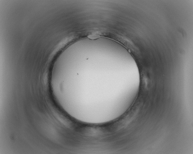 X0000114010250200910161740