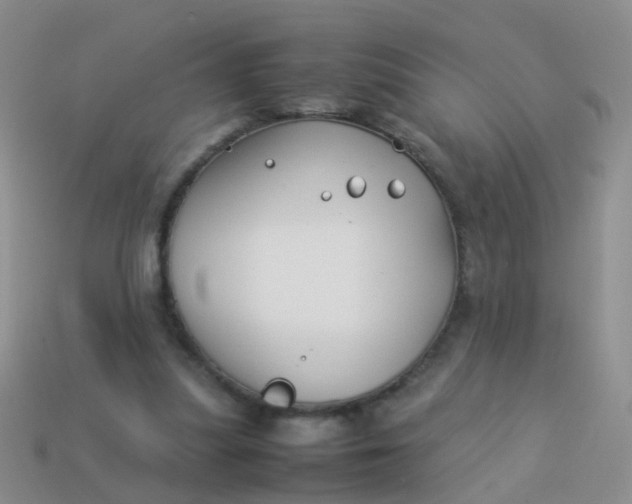 X0000114010251200910161740