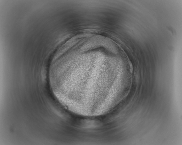 X0000114010255200910161740