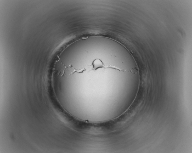 X0000114010256200910161740