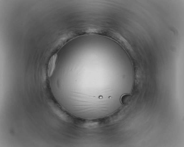 X0000114010257200910161740