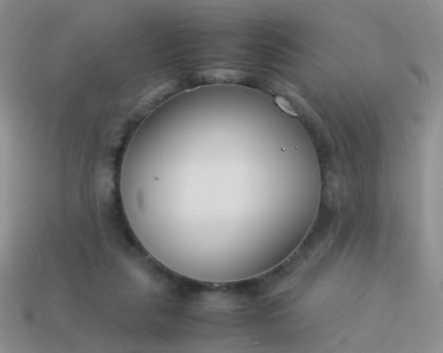 X0000114010259200910161740