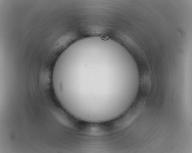 X0000114010264200910161740