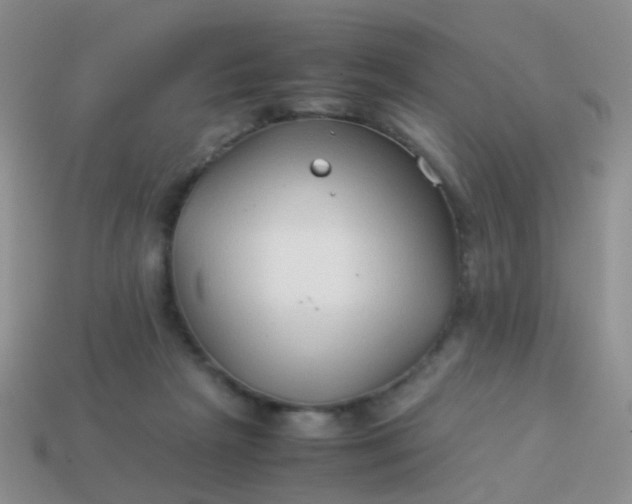 X0000114010265200910161740