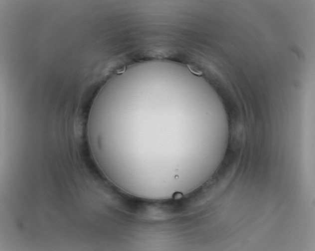 X0000114010268200910161740