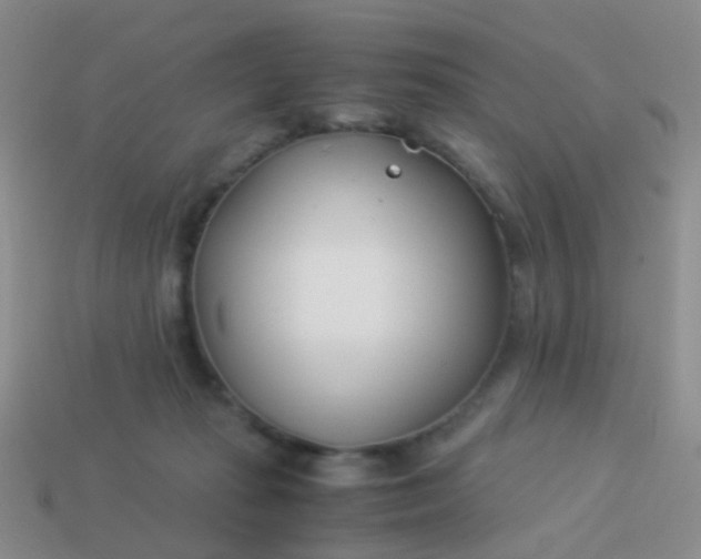 X0000114010269200910161740