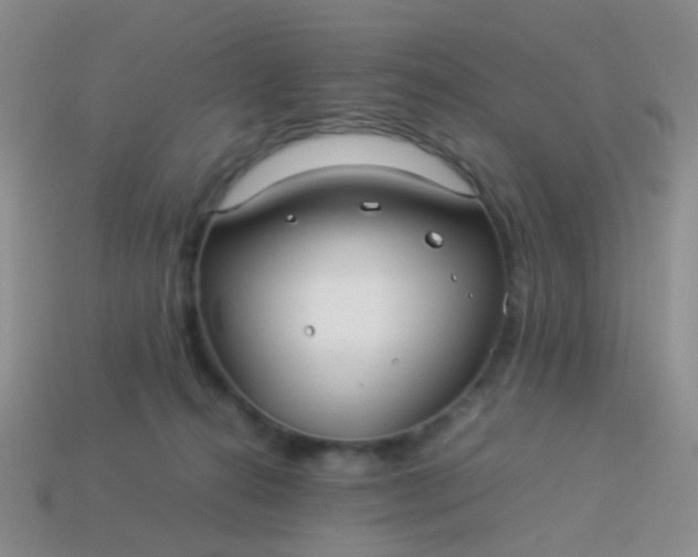 X0000114010272200910161740