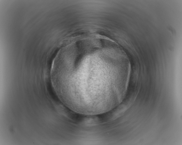 X0000114010274200910161740