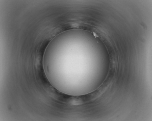 X0000114010275200910161740