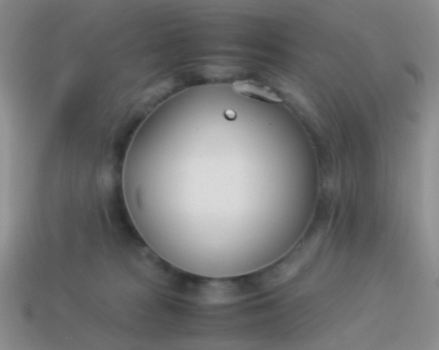 X0000114010277200910161740