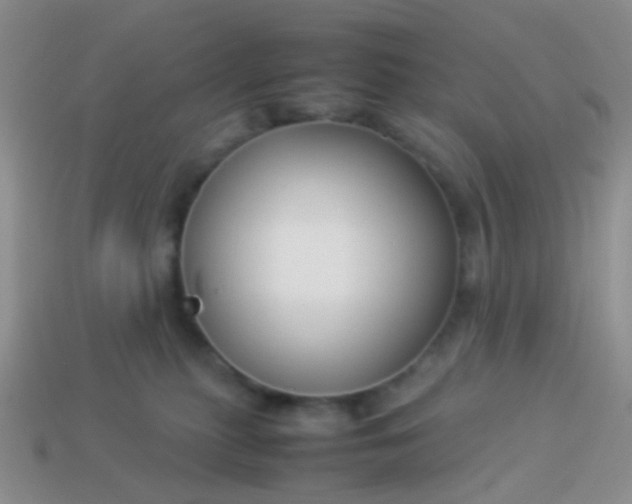 X0000114010279200910161740