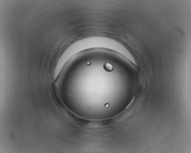 X0000114010280200910161740