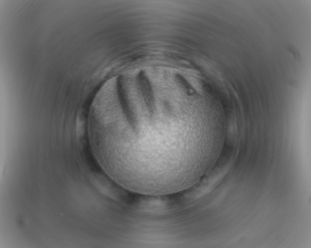 X0000114010282200910161740