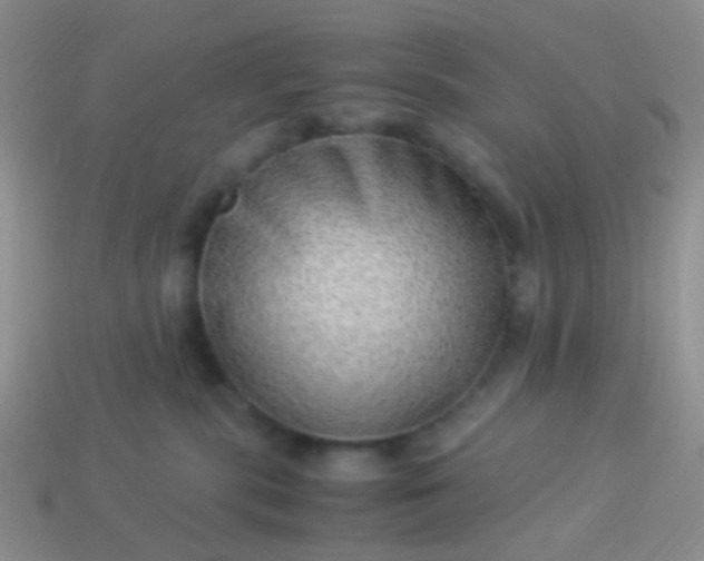 X0000114010283200910161740