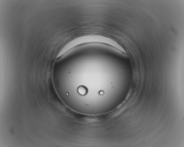 X0000114010284200910161740