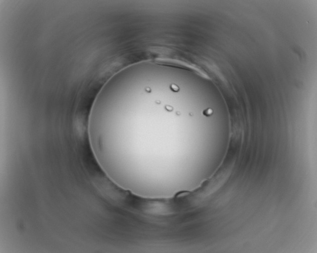 X0000114010285200910161740