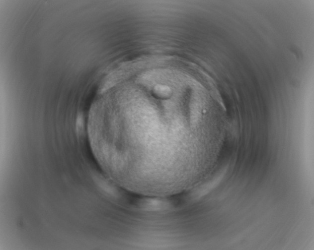 X0000114010286200910161740