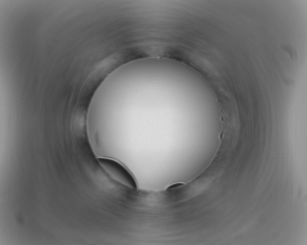 X0000114010288200910161740