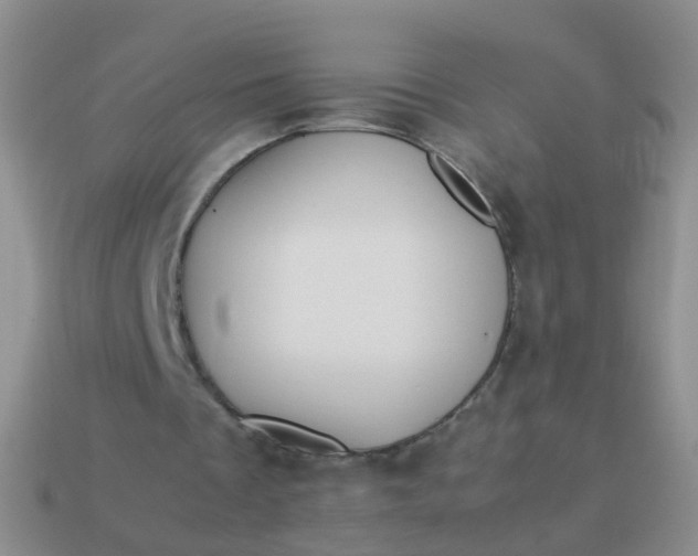 X0000114010289200910161740