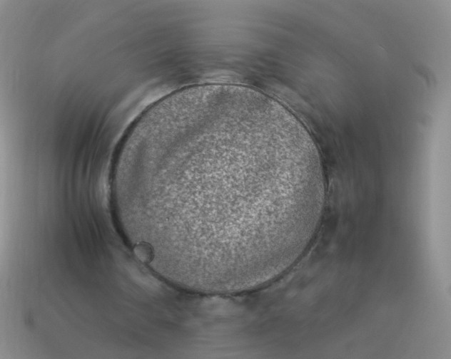 X0000114010290200910161740