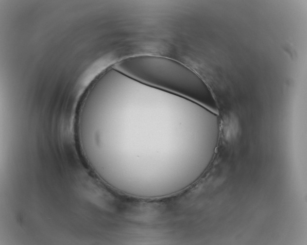 X0000114010292200910161740