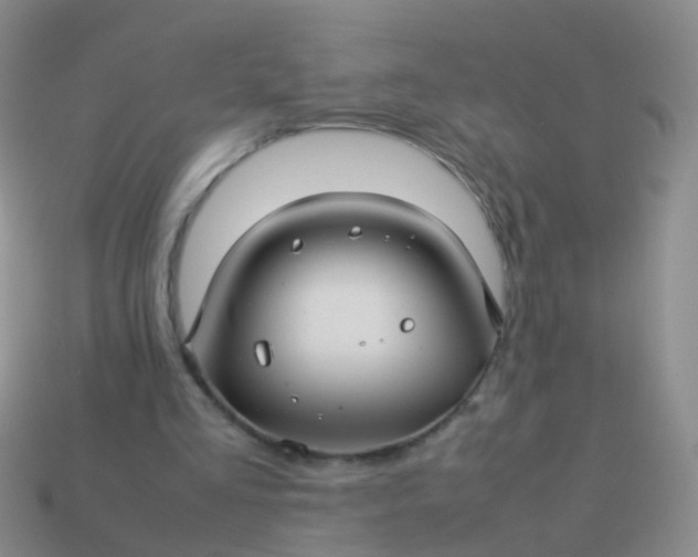 X0000114010293200910161740