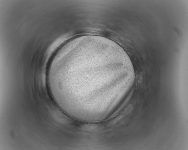 X0000114010294200910161740