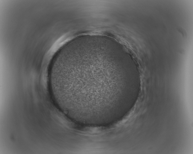 X0000114010295200910161740