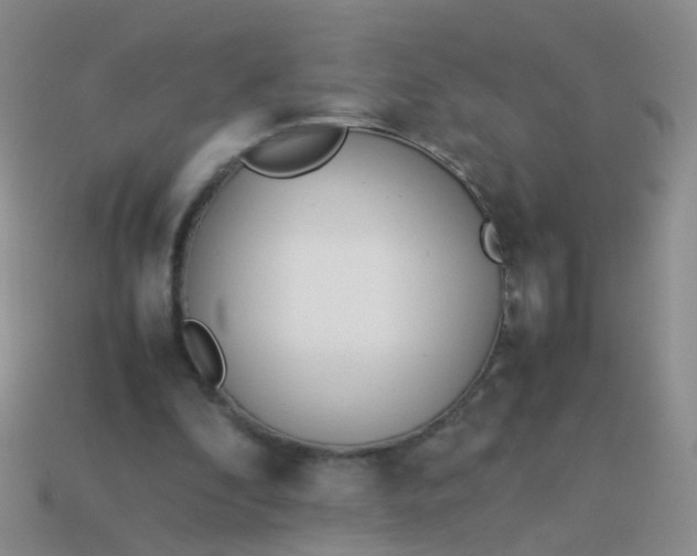 X0000114010296200910161740