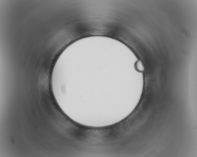 X0000114010297200910161740