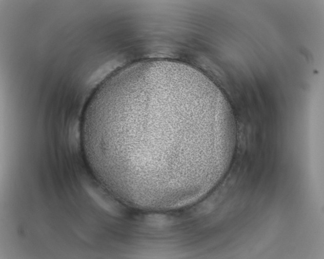 X0000114010298200910161740