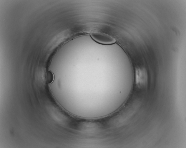 X0000114010300200910161740