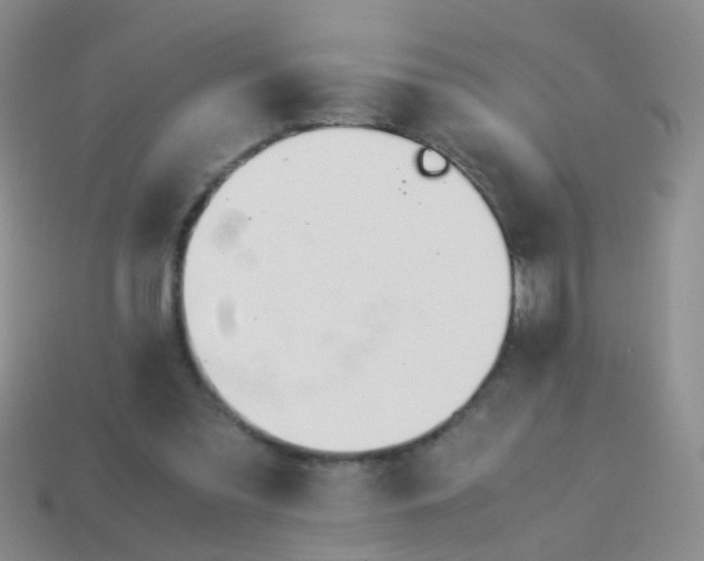 X0000114010301200910161740