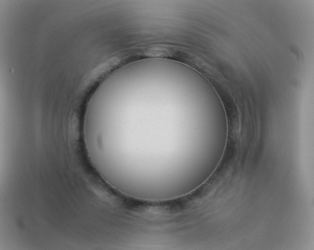 X0000114010303200910161740