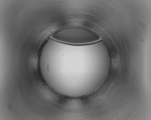 X0000114010304200910161740