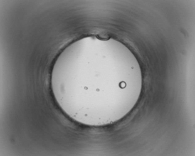 X0000114010305200910161740