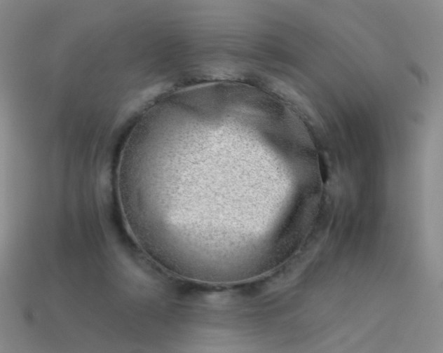 X0000114010306200910161739