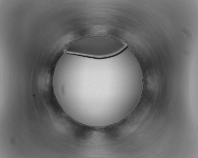 X0000114010308200910161739