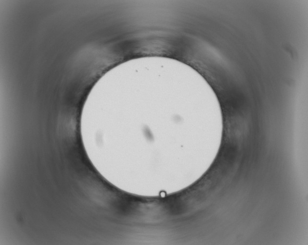 X0000114010309200910161739