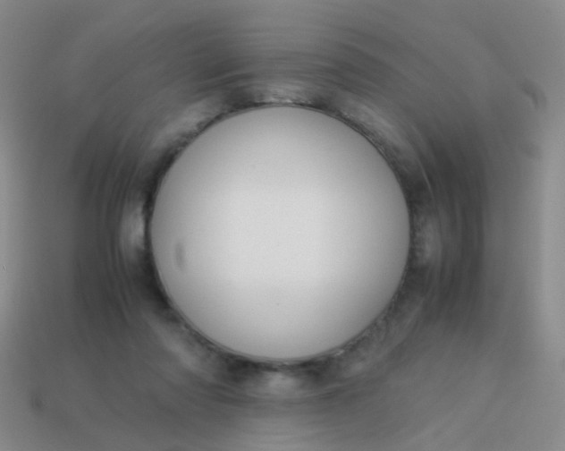 X0000114010310200910161739