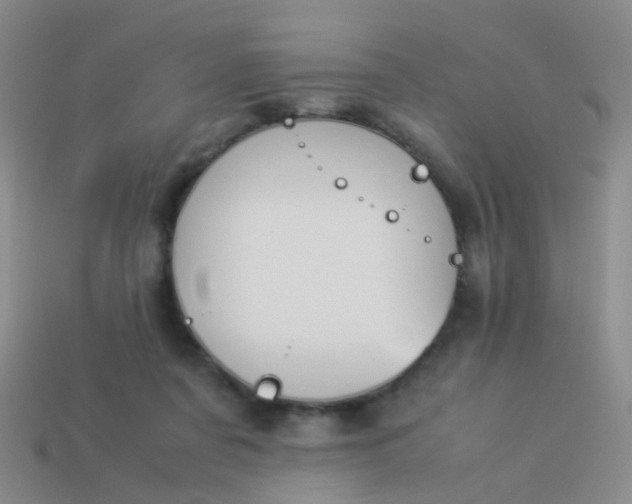 X0000114010311200910161739