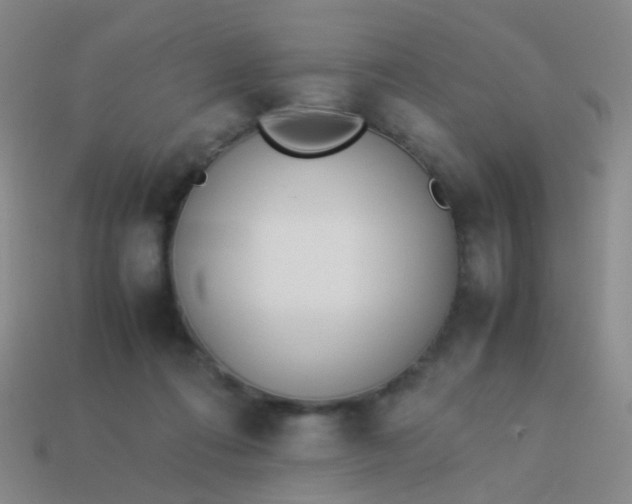 X0000114010312200910161739