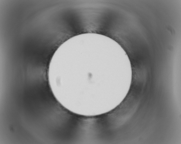 X0000114010313200910161739