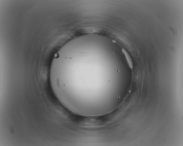 X0000114010315200910161739