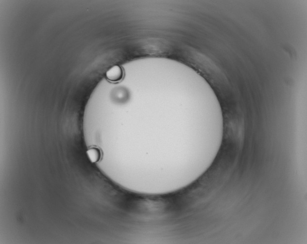 X0000114010317200910161739