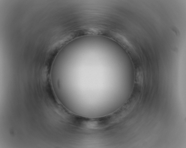 X0000114010318200910161739