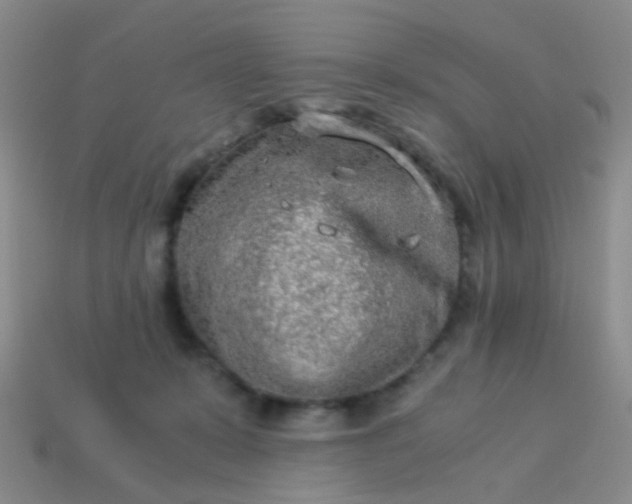 X0000114010319200910161739