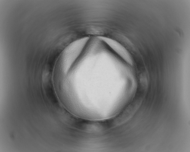 X0000114010322200910161739