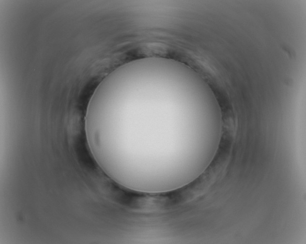 X0000114010323200910161739